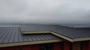 Fast & Reliable Emergency Roof Repairs in Keaau, HI